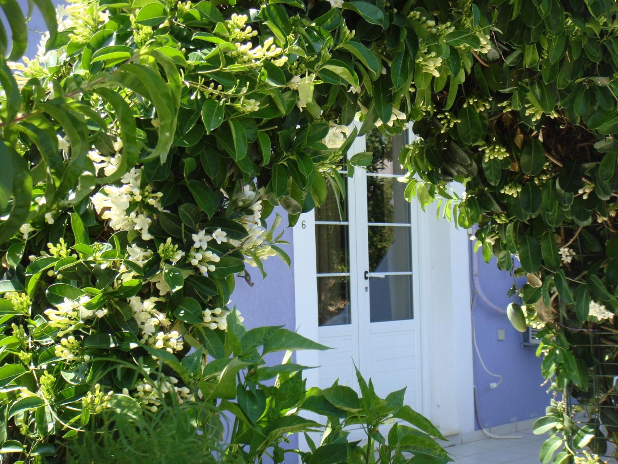 Villa Eliza Skala  Eksteriør billede