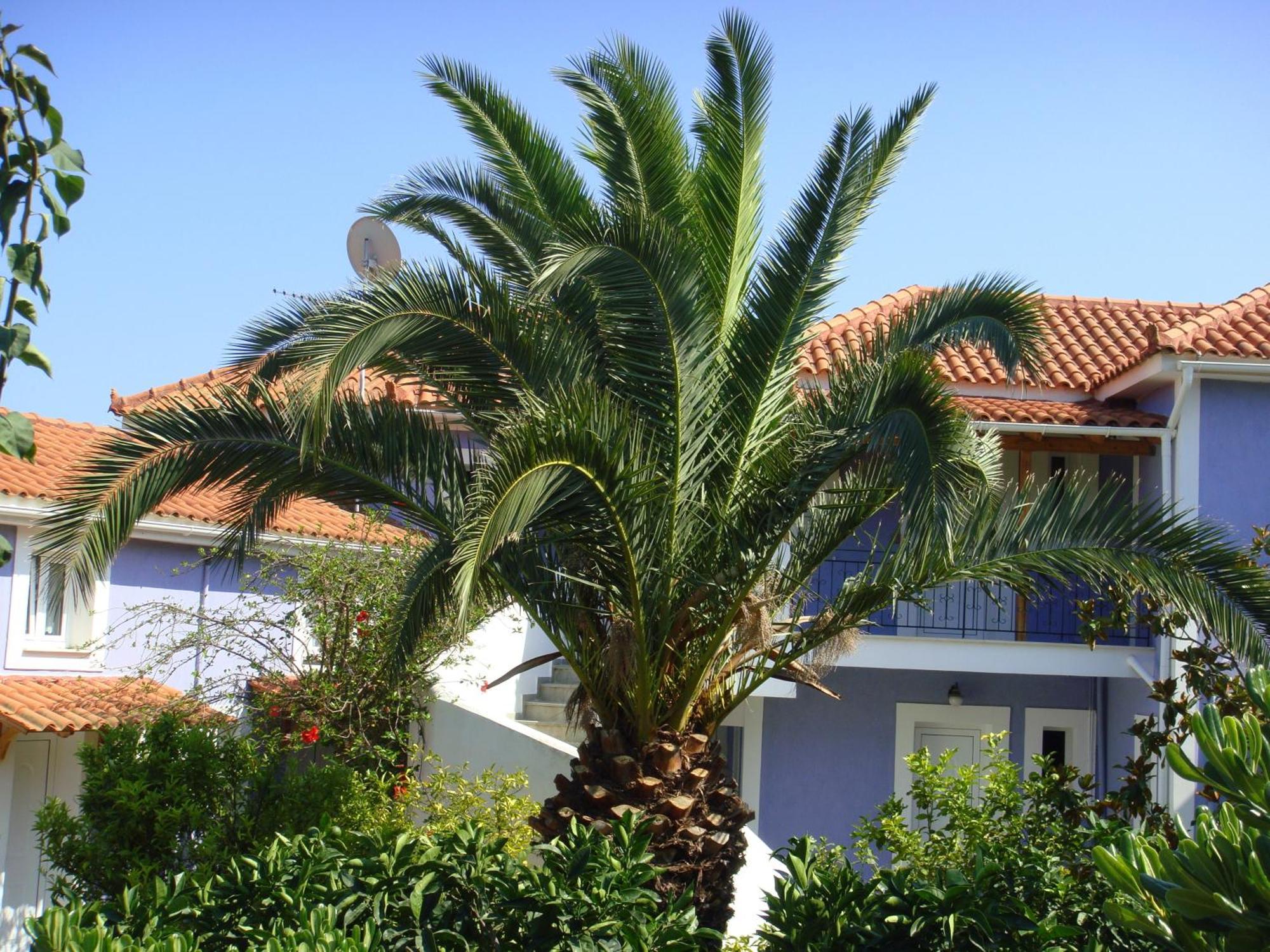 Villa Eliza Skala  Eksteriør billede